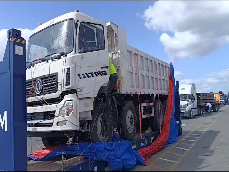 Caso de exportação: cliente dominicano recebeu caminhão basculante LMDT250 25Ton LTMG