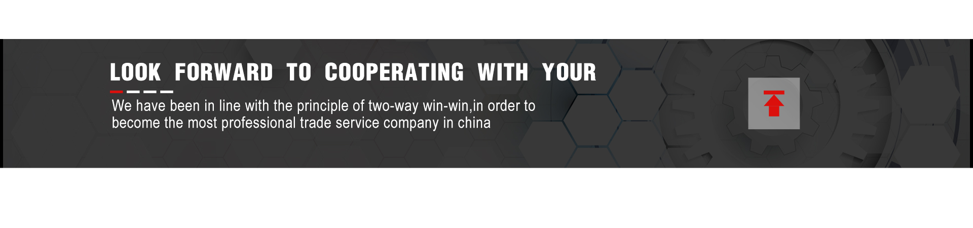 About LTMG